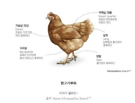 닭고기의 영양 및 기능성 성분과 육질의 맛